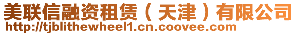 美聯(lián)信融資租賃（天津）有限公司