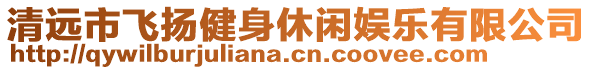 清遠(yuǎn)市飛揚(yáng)健身休閑娛樂有限公司