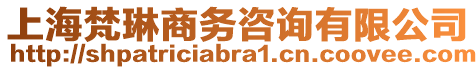 上海梵琳商務咨詢有限公司