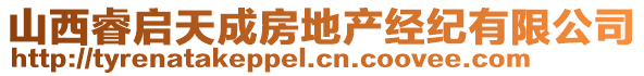 山西睿啟天成房地產(chǎn)經(jīng)紀有限公司