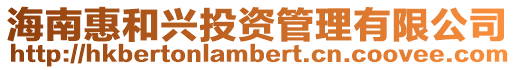 海南惠和興投資管理有限公司