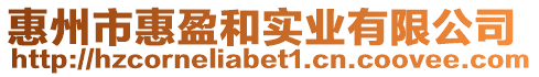 惠州市惠盈和實業有限公司
