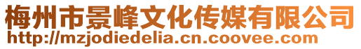 梅州市景峰文化傳媒有限公司