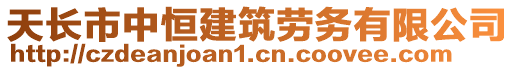 天長市中恒建筑勞務有限公司