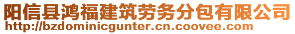 陽信縣鴻福建筑勞務分包有限公司
