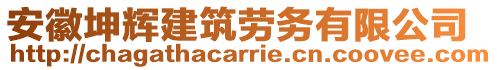 安徽坤輝建筑勞務(wù)有限公司