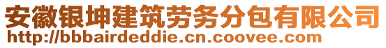 安徽银坤建筑劳务分包有限公司