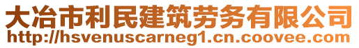 大冶市利民建筑勞務(wù)有限公司