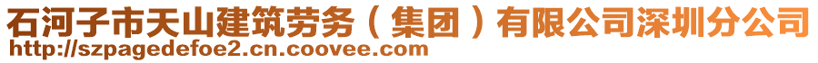 石河子市天山建筑勞務(wù)（集團(tuán)）有限公司深圳分公司