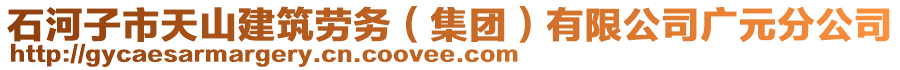 石河子市天山建筑勞務(wù)（集團(tuán)）有限公司廣元分公司