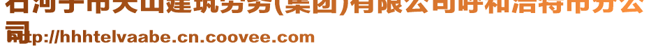 石河子市天山建筑勞務(wù)(集團(tuán))有限公司呼和浩特市分公
司