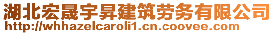 湖北宏晟宇昇建筑勞務有限公司
