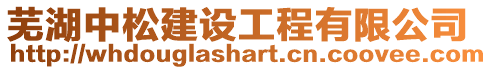 蕪湖中松建設工程有限公司