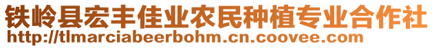 鐵嶺縣宏豐佳業(yè)農(nóng)民種植專業(yè)合作社