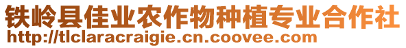 鐵嶺縣佳業(yè)農(nóng)作物種植專業(yè)合作社