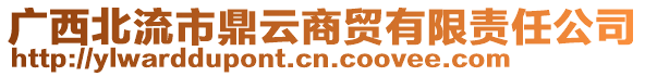 廣西北流市鼎云商貿(mào)有限責任公司