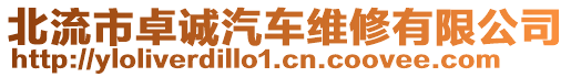 北流市卓誠汽車維修有限公司