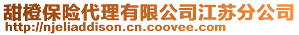 甜橙保險代理有限公司江蘇分公司