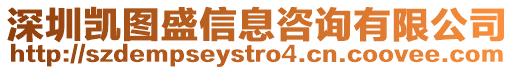 深圳凱圖盛信息咨詢有限公司