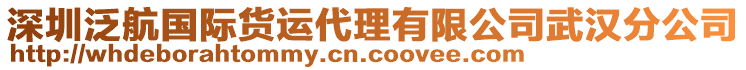深圳泛航國際貨運代理有限公司武漢分公司