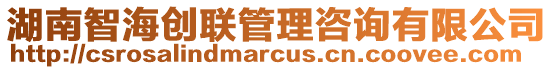 湖南智海創聯管理咨詢有限公司