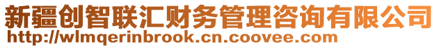 新疆創(chuàng)智聯(lián)匯財(cái)務(wù)管理咨詢有限公司