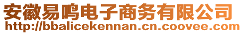 安徽易鳴電子商務(wù)有限公司