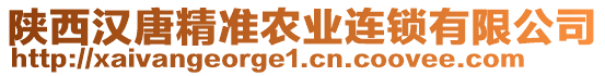 陜西漢唐精準(zhǔn)農(nóng)業(yè)連鎖有限公司