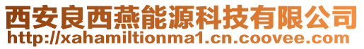 西安良西燕能源科技有限公司