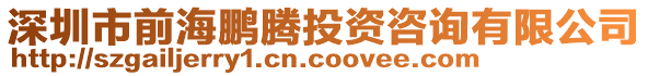 深圳市前海鵬騰投資咨詢有限公司