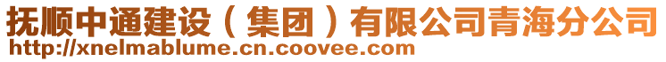 撫順中通建設(集團)有限公司青海分公司