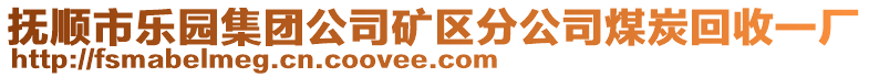 撫順市樂(lè)園集團(tuán)公司礦區(qū)分公司煤炭回收一廠