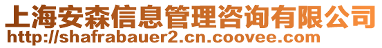 上海安森信息管理咨詢有限公司