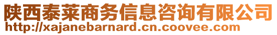 陜西泰萊商務信息咨詢有限公司