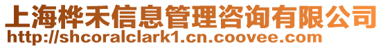 上海樺禾信息管理咨詢有限公司