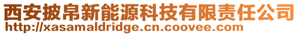 西安披帛新能源科技有限責(zé)任公司