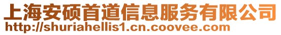 上海安碩首道信息服務(wù)有限公司