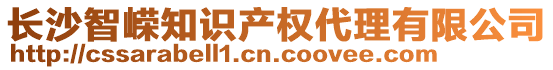 長沙智嶸知識產權代理有限公司