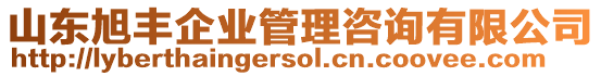 山東旭豐企業(yè)管理咨詢有限公司