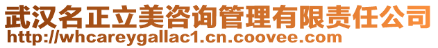 武漢名正立美咨詢管理有限責任公司