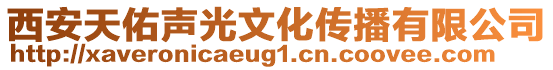 西安天佑聲光文化傳播有限公司