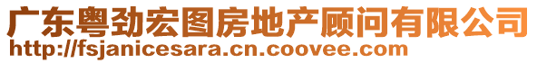 廣東粵勁宏圖房地產(chǎn)顧問有限公司