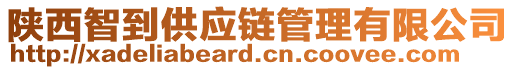 陜西智到供應鏈管理有限公司