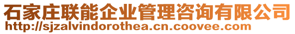 石家莊聯(lián)能企業(yè)管理咨詢有限公司