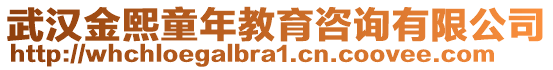 武漢金熙童年教育咨詢有限公司