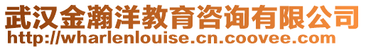 武漢金瀚洋教育咨詢有限公司