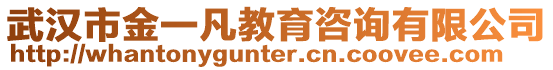 武漢市金一凡教育咨詢有限公司