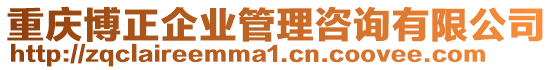 重慶博正企業(yè)管理咨詢有限公司