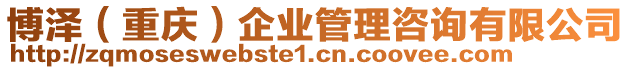 博澤(重慶)企業管理咨詢有限公司