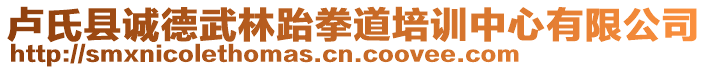 盧氏縣誠德武林跆拳道培訓(xùn)中心有限公司